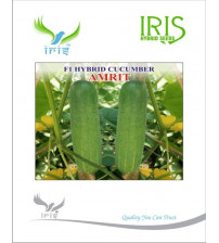 Cucumber / Kakri F1 Iris Amrit 20 grams